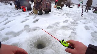 СЕЛ РЯДОМ с БАЗАРОМ и НАЧАЛ ТЯГАТЬ! Зимняя рыбалка на реке! Ловля белой рыбы в декабре 2022!