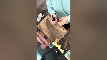How to roll a premium cigar part 3 Bunching and Binding. #cigarrollingvideos 