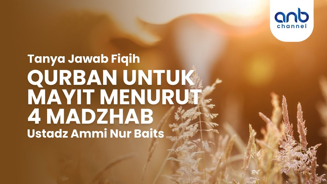 ⁣Qurban Untuk Mayit Menurut 4 Madzhab