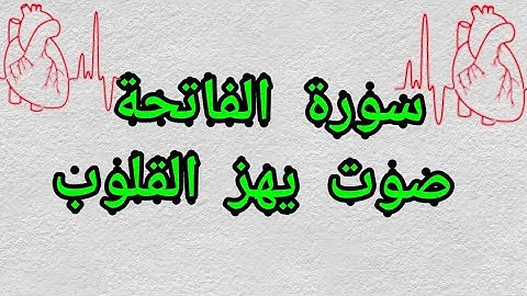 سورة الفاتحة  تمنع الغضب القاري الشيخ عصام احمد عبد الجواد