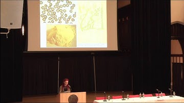 Inge Hinterwaldner: How to cook visible water molecules? Historical recipes for tracing turbulence