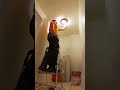 Firefly Bulb Glow Without Electricity