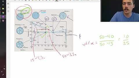 Example of sketching the proeutectic phases in a microstructure