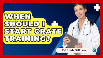 When Should I Start Crate Training? - PetGuide360.com