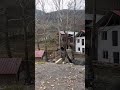 Gezmeler…..