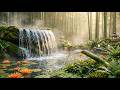 Relaxing Piano Music & Waterfall Sounds 🌿 Healing Sleep Music | Stress Relief & Zen Meditation