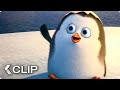 Finding Young Private Movie Clip - Penguins of Madagascar (2014)