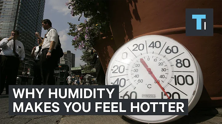 Why Humidity Makes You Feel Hotter - DayDayNews