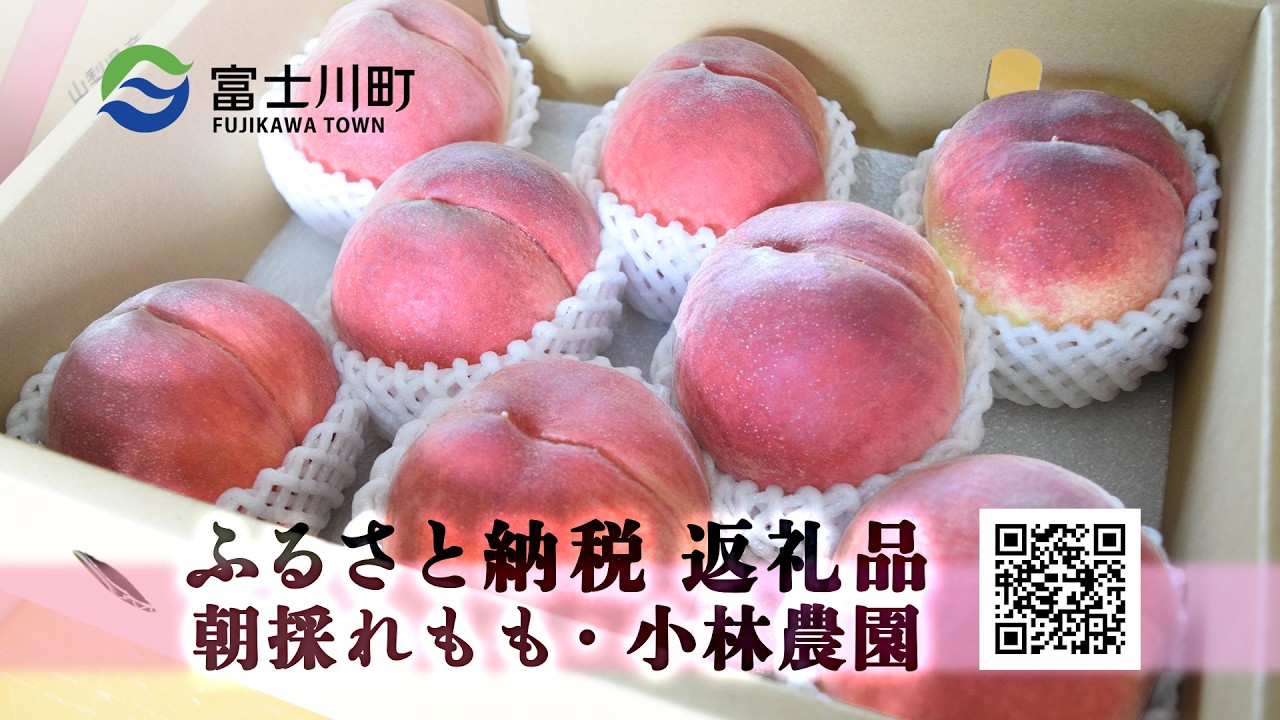 山梨県富士川町】朝採れ桃をその日のうちに発送｜ふるさと納税返礼品を