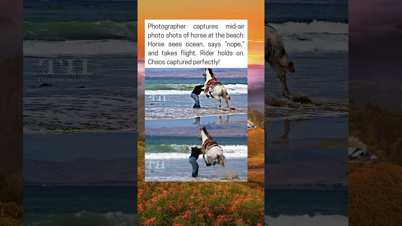 Photographer Captures Mid-Air Photo Shots Of Horse At The Beach