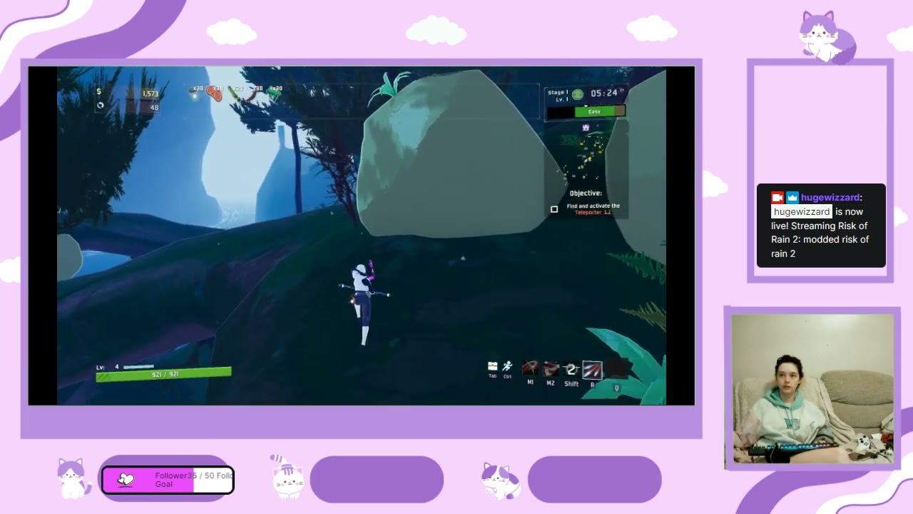 modded risk of rain 2