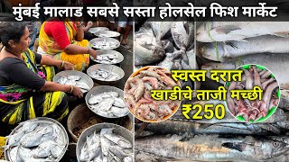 Malad Fish Market | Fish Market Malad | Mumbai Fish Market | Wholesale Fish Market In Mumbai