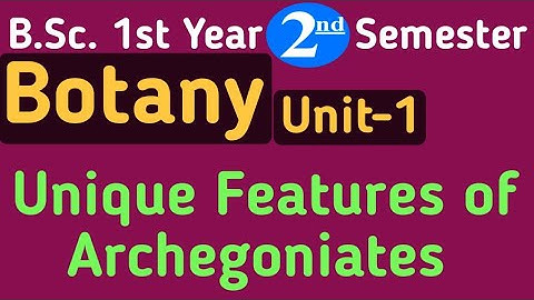 Unique Features of Archegonates/BSc 1st Year 2nd Semester Botany Archegonates and plant Architecture