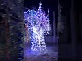 Muttinakom Church/St Mary's Church Muttinakom/മുട്ടിനകം പള്ളി/christmas tree/ varapuzha church