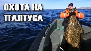 Halibut fishing. How to catch a huge halibut. Proven fishing method.