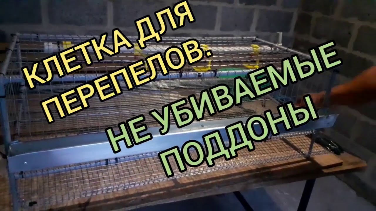 Как сделать клетку для перепелов?