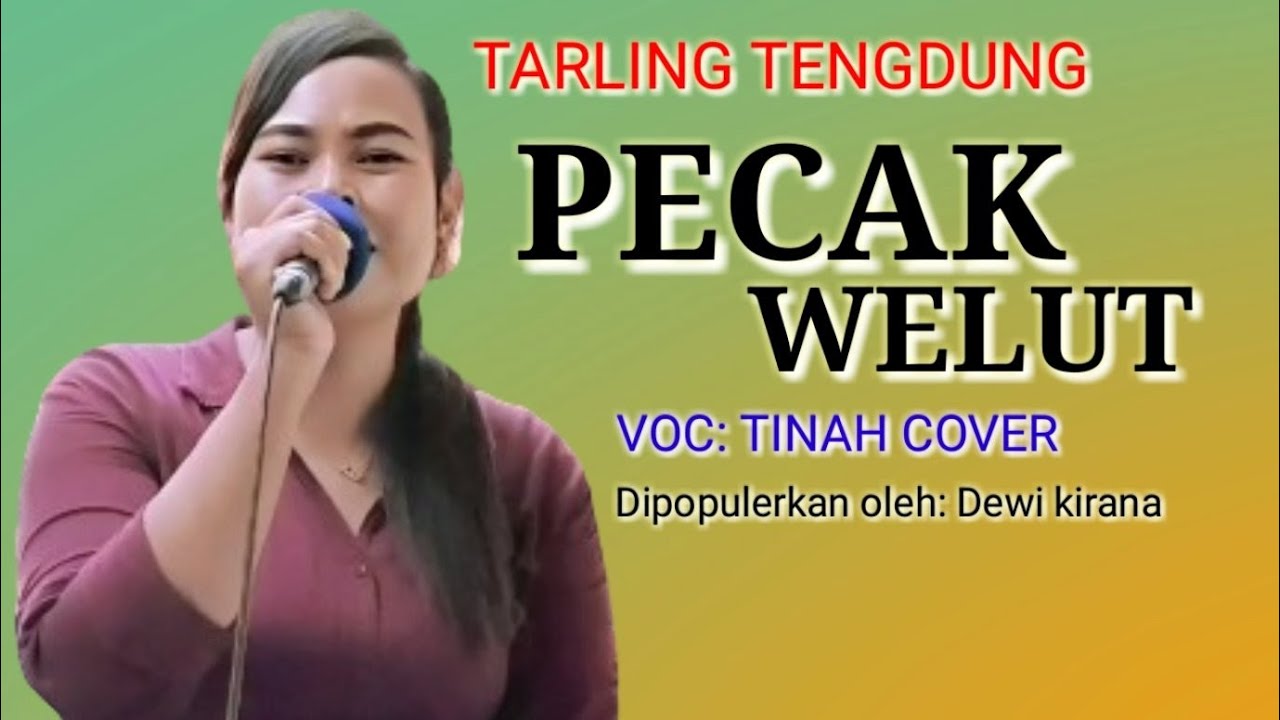 PECAK WELUT - TINAH COVER || TARLING TENGDUNG 2024