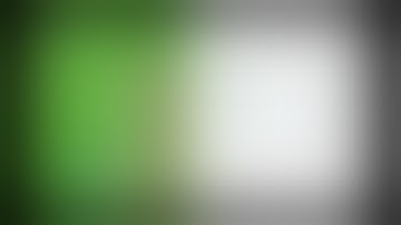 Chapter 6 - Social Control and Deviance