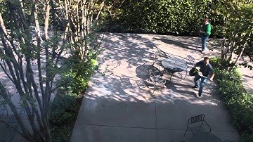 Pillars of Eternity Animators