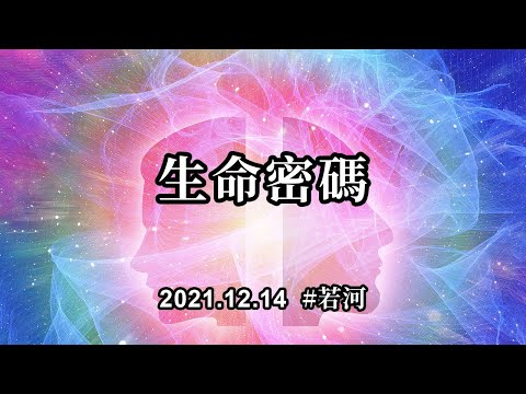 生命密碼；很幸運，我們共同來到了地球這個神奇的地方，進行我們靈魂生命中最特別的旅行。生命就是一段又一段奇妙的旅程，遇見什麼，離開什麼，都是旅程中獨特的風景
