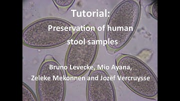 Tutorial Preservation of Human Stool Samples