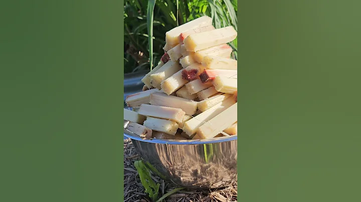 I Grew SUGARCANE So I Could Taste The JUICE - DayDayNews