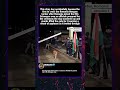 This stray dog accidentally became the first to cross the Romania Hungary border after Romania joine