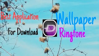 How to chang Wallpeper And Ringtone screenshot 4