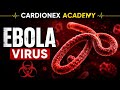 Ebola Virus Explained in Hindi | लक्षण, कारण और बचाव