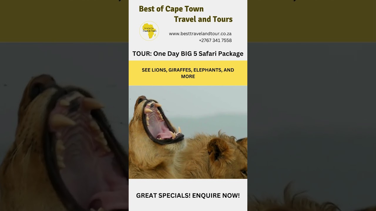 One Day BIG 5 Safari Package