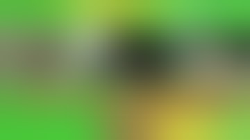 Michigan Hash Bash 2024 Vlog | 54th Annual Celebration | Smoke Sum Podcast