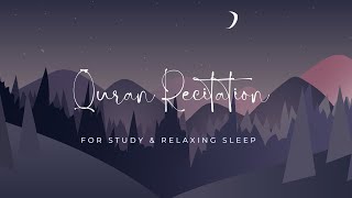 Victory | Calm your soul | Peaceful Quran Recitation | Surah Al-Fath 7x