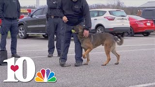 'They're very similar' | 3 K9 units at Knoxville Police Department are clones