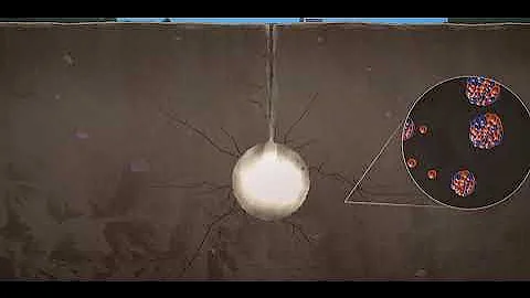 The ! Most ! Important ! Algorithm ! Of All Time