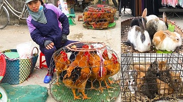 Chợ Quê Miền Bắc Việt Nam - Chợ quê những ngày giáp Tết -  Hương Vlog