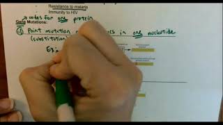 Mutations Notes Bio 1 Part 1