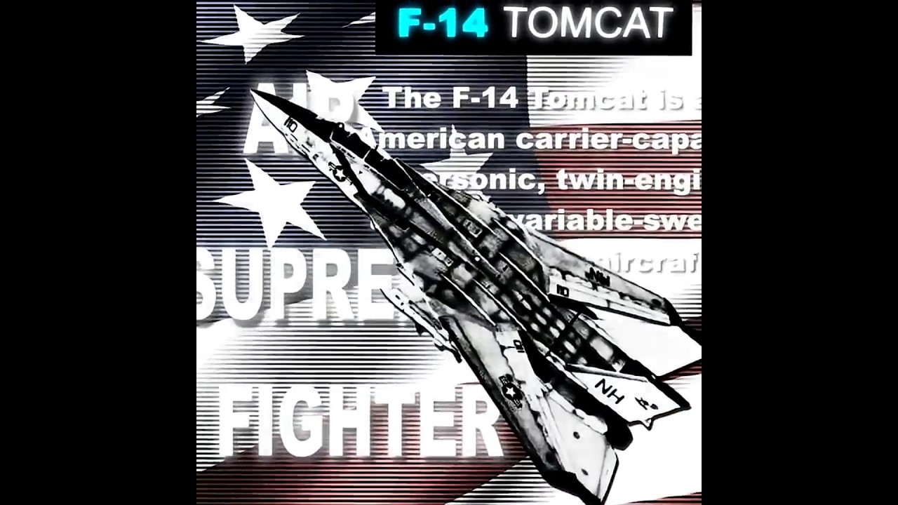 Su-27 & F-14 edit // 