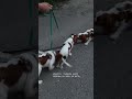 СКОЛЬКО ХАРИЗМЫ! 180958570, #171350352, #174411343