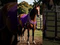2026年5月9日、土曜開催の東京競馬場。「今日のレース注目ポイント」をご紹介します。