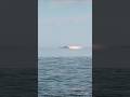 Cruise Missile Approaches an Aircraft Carrier