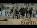 WildEarth - Sunset Safari - 20 July 2020