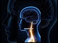 Чтобы заказать напрямую от производителя — напишите мне. Ссылка в шапке профиля