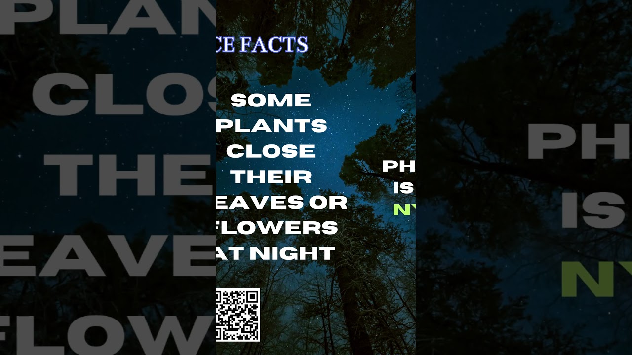 Do Plants Sleep? 🌙 The Amazing Science of Nyctinasty Explained! 