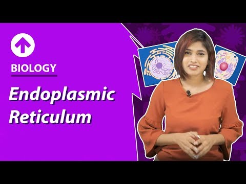 Endoplasmic Reticulum | Cell-Structure & Function | Biology | Class 9