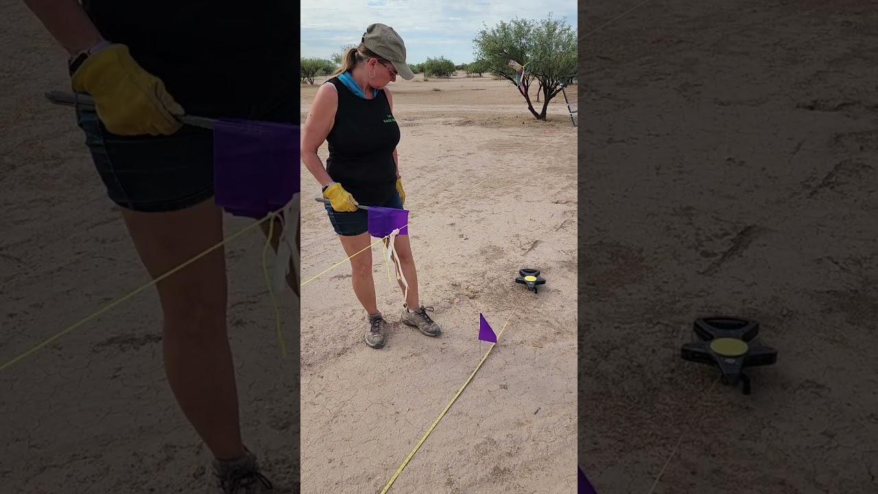 L&S Oasis Farm  Backyard fence  Southwest desert