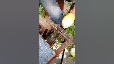 Manual radish slicer #craftsmanship