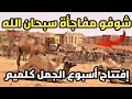 Watch The Most Beautiful Carnival At The Guelmim Camel Week Festival 2025 The Best Tbourida At T Watch The Most Beautiful Carnival At The Guelmim Camel Week Festival 2025 The Best Tbourida At T