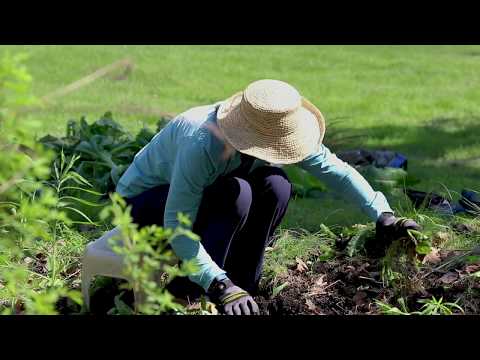 Smallenburg Park Clean up