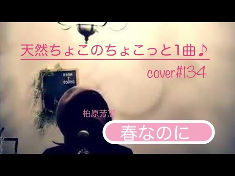 春なのに/柏原芳恵【cover】ちょこっと1曲♪2023.2.18