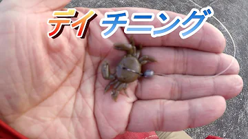 パワークラブクロダイ パワークラブクロダイ